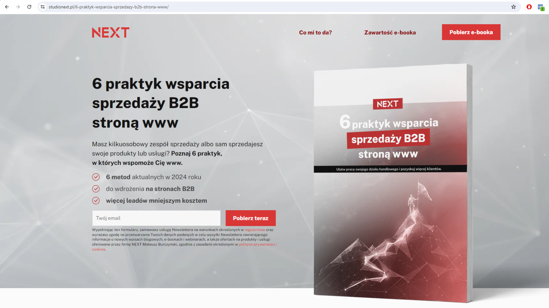 Tworząc lead magnet nie można zapomnieć o stworzeniu landing page'a